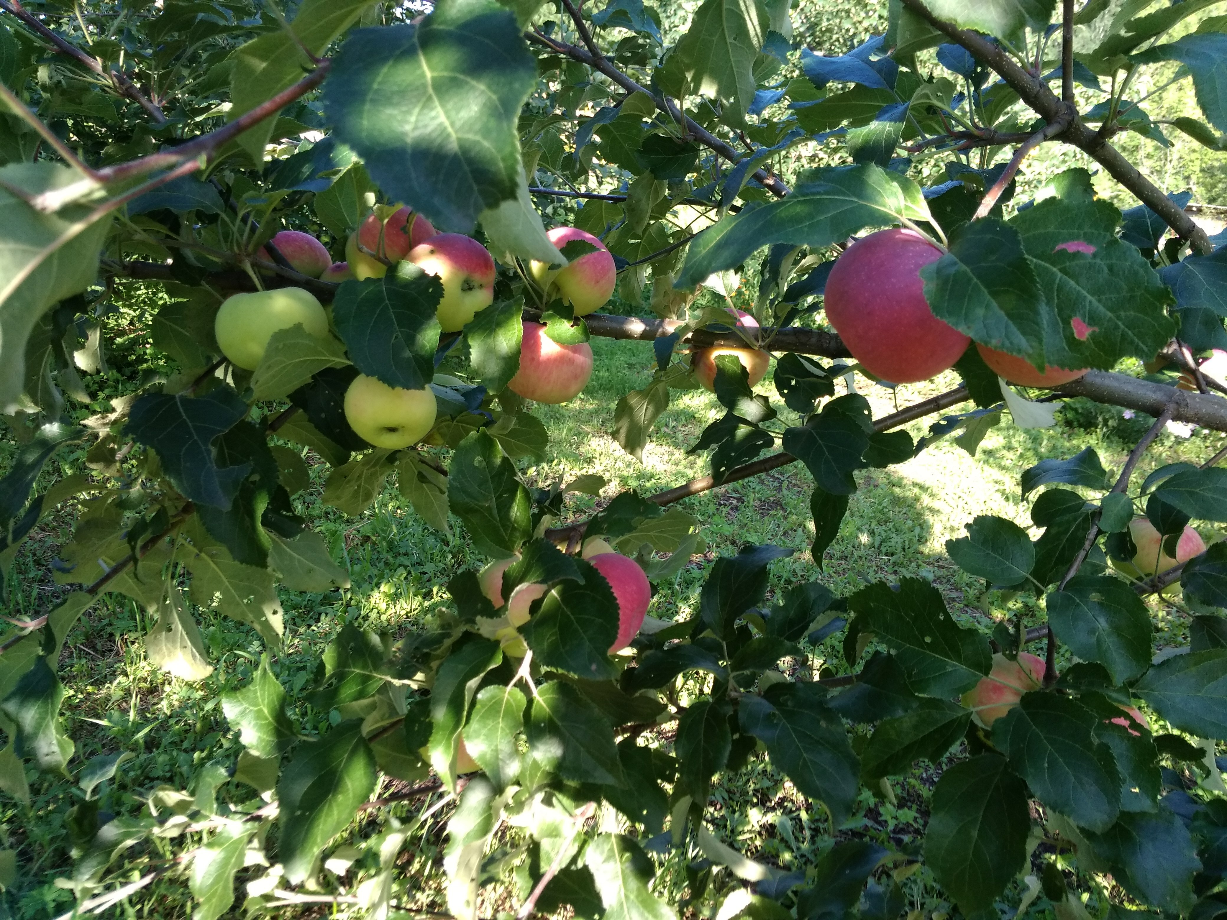 Фото Тихий Лог