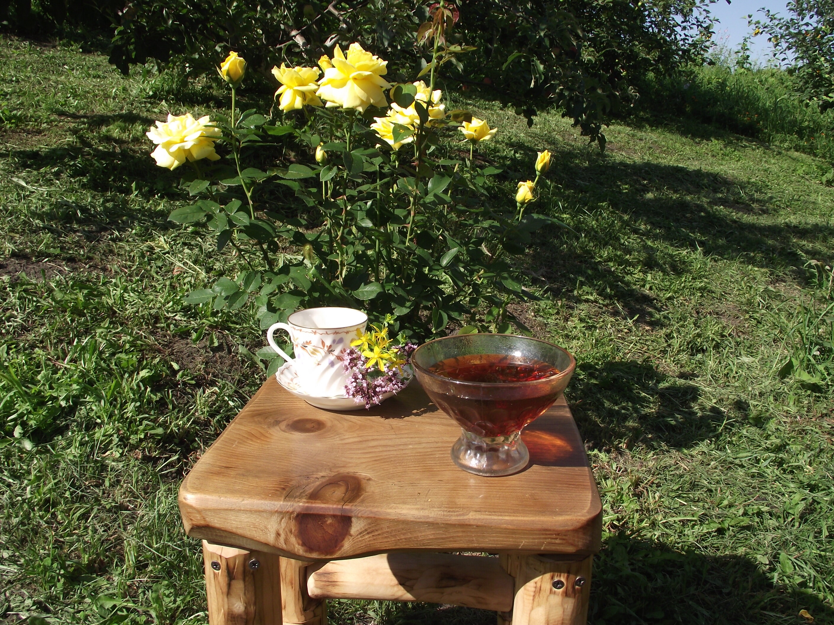 Фото Тихий Лог