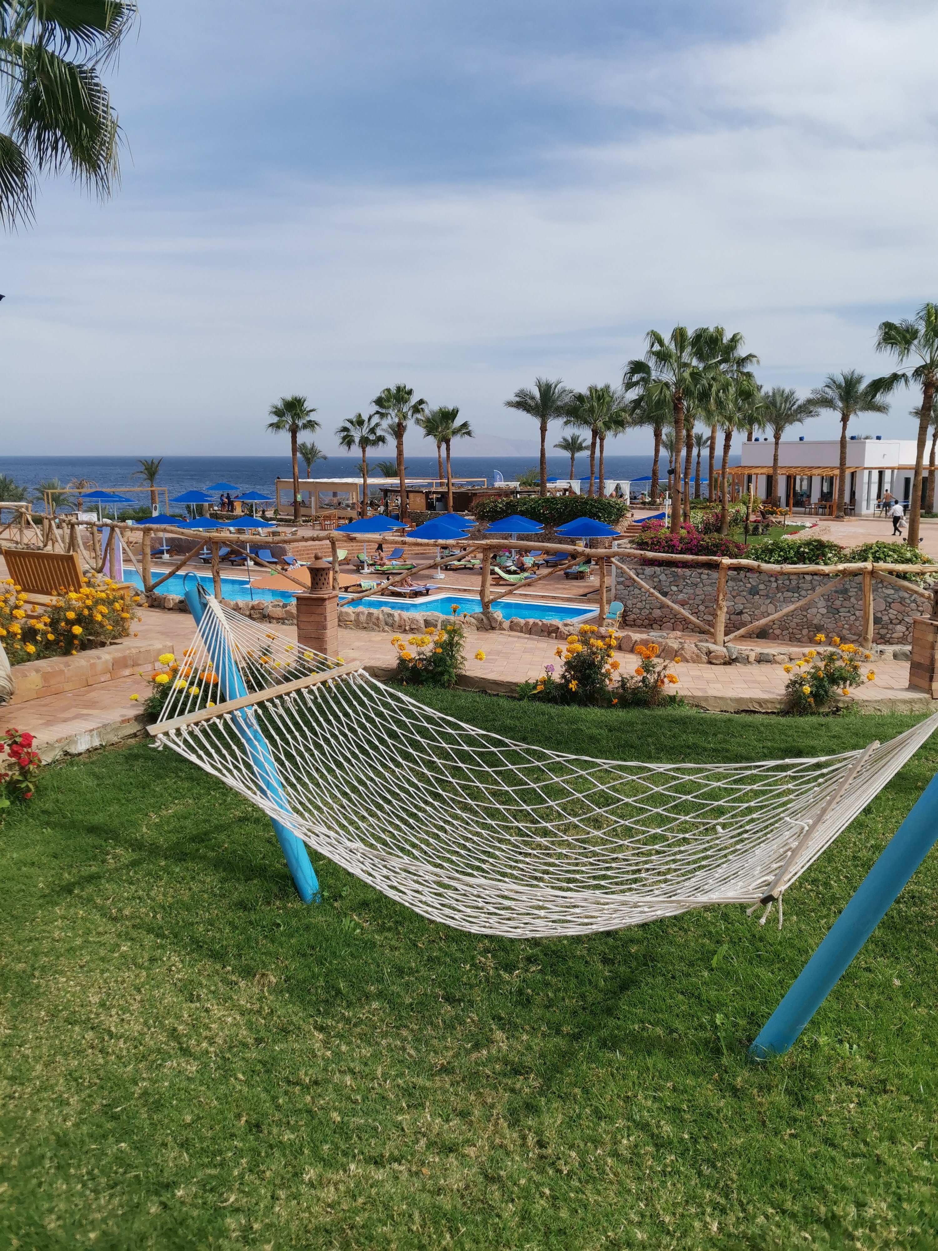 Фото Club Reef Resort