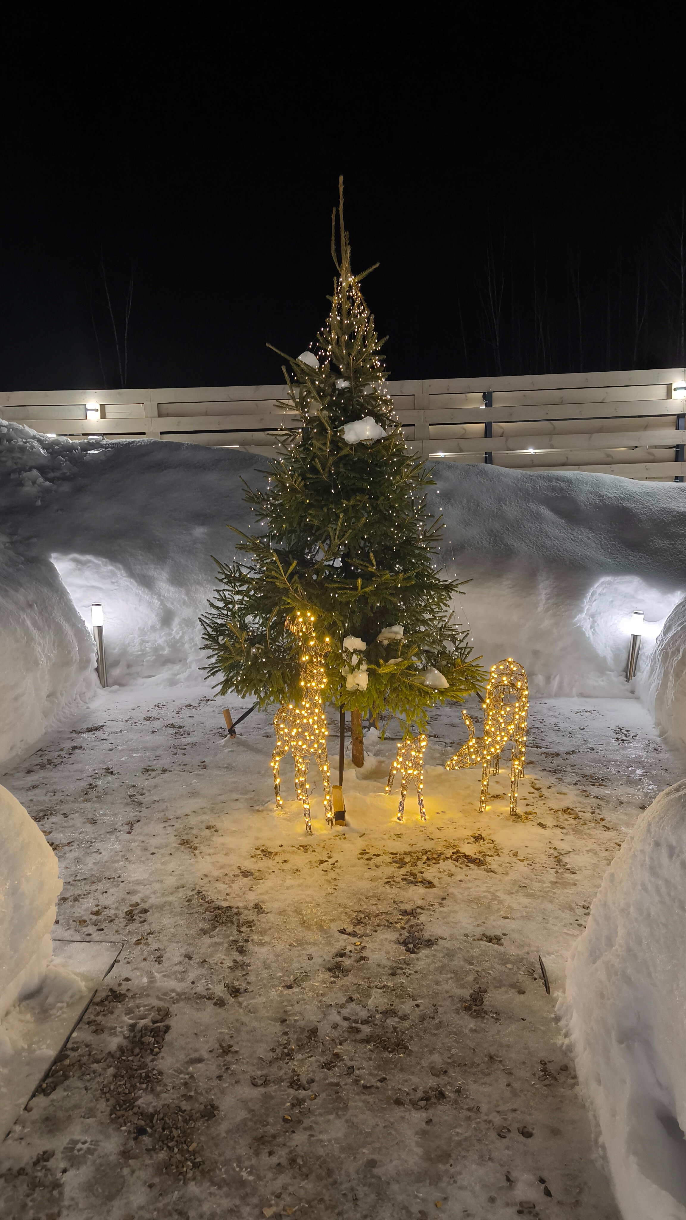 Фото Любимый в Любаново