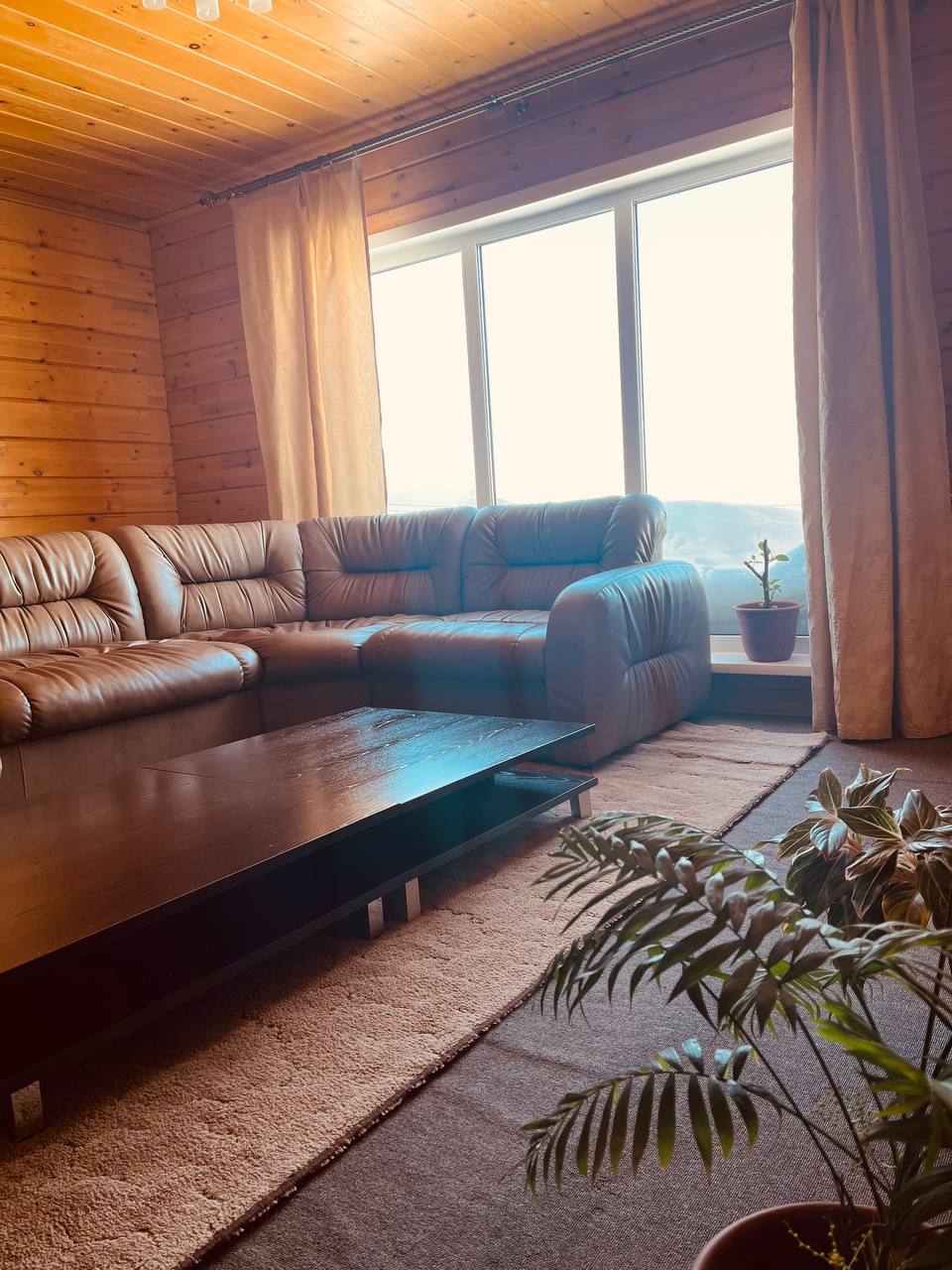 Фото Медведица