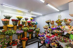 Magiya Tsvetov (Reutov, Yubileyny Avenue, 63), flower shop
