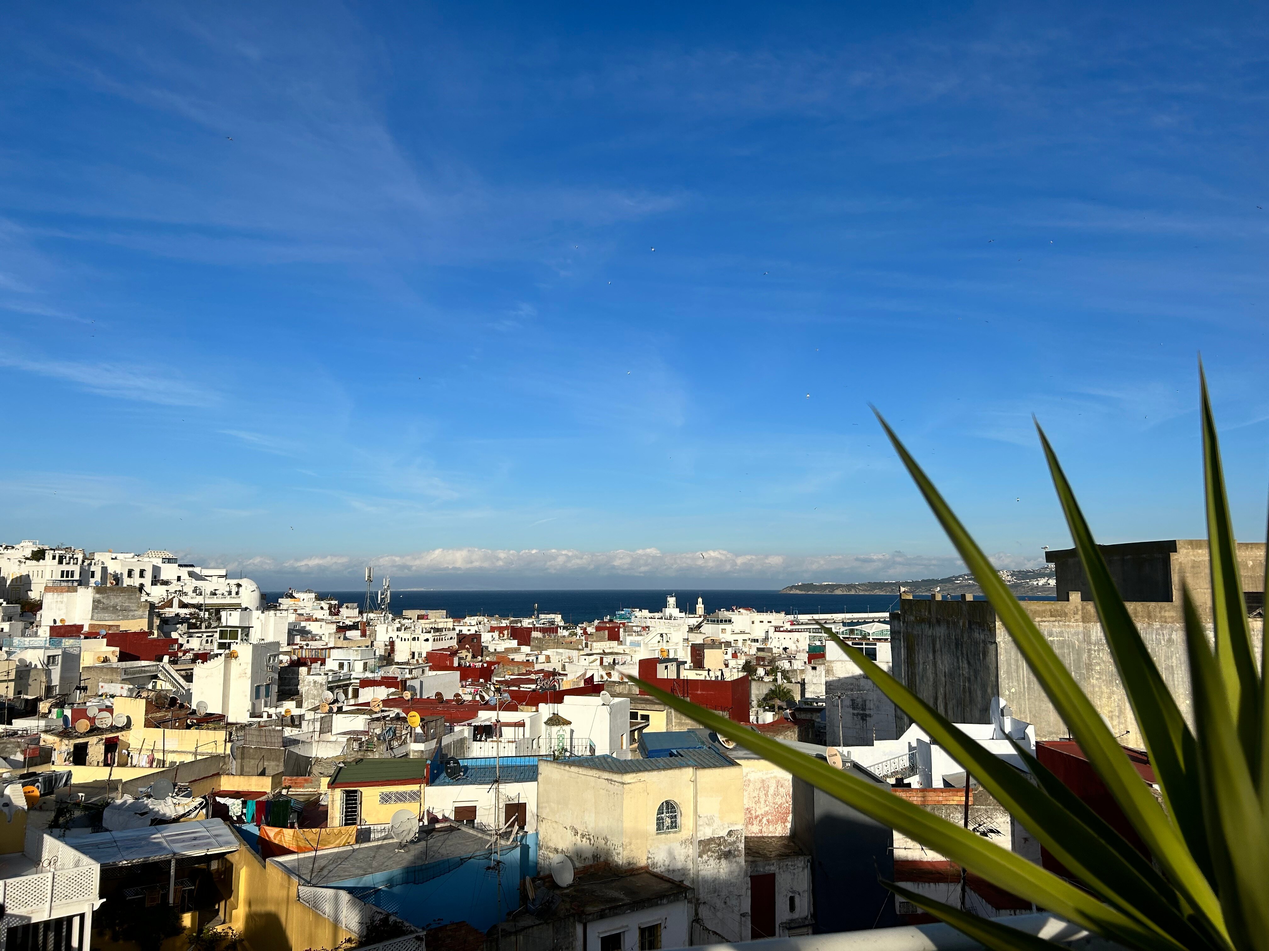 Фото Riad Tingis