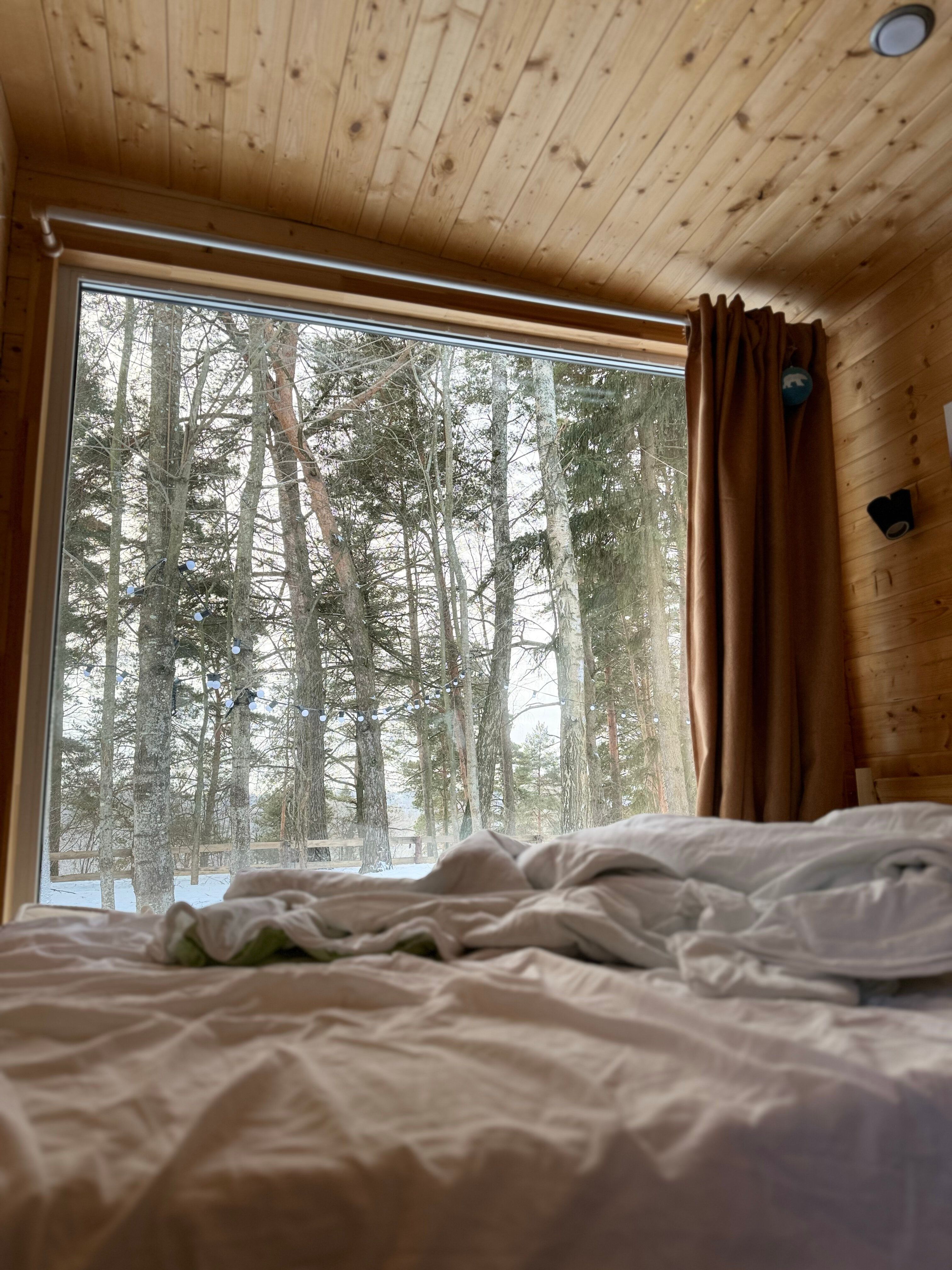 Фото Лесной Привал