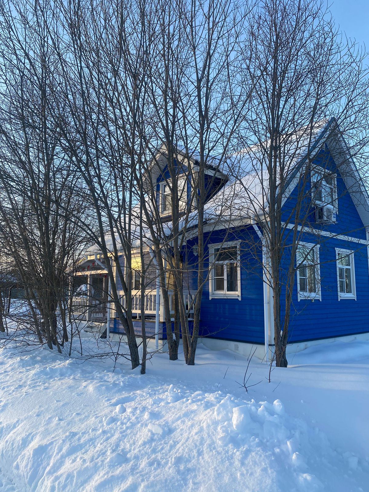 Фото Синяя синица