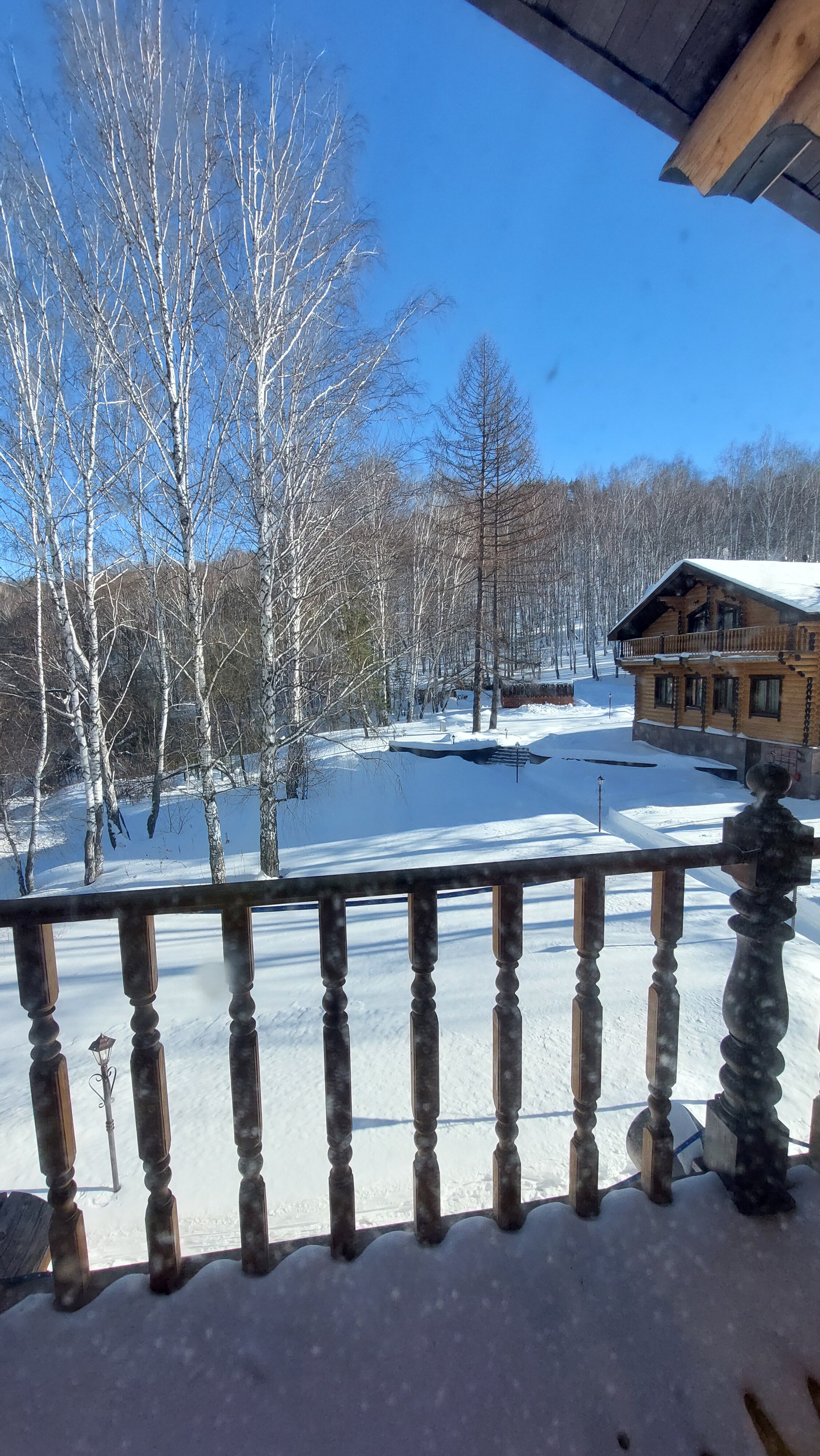 Фото Кизиловая