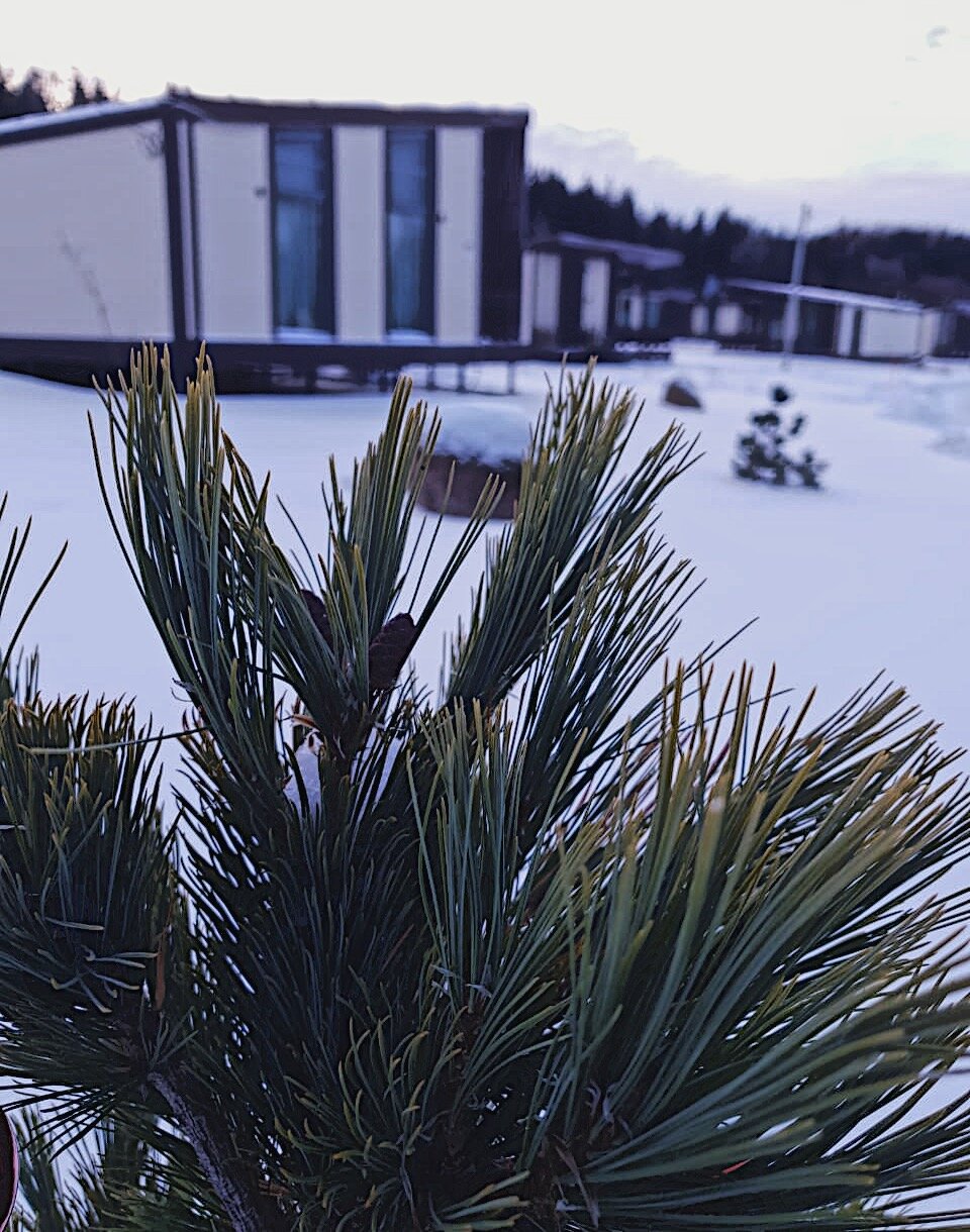 Фото Логи Апарт