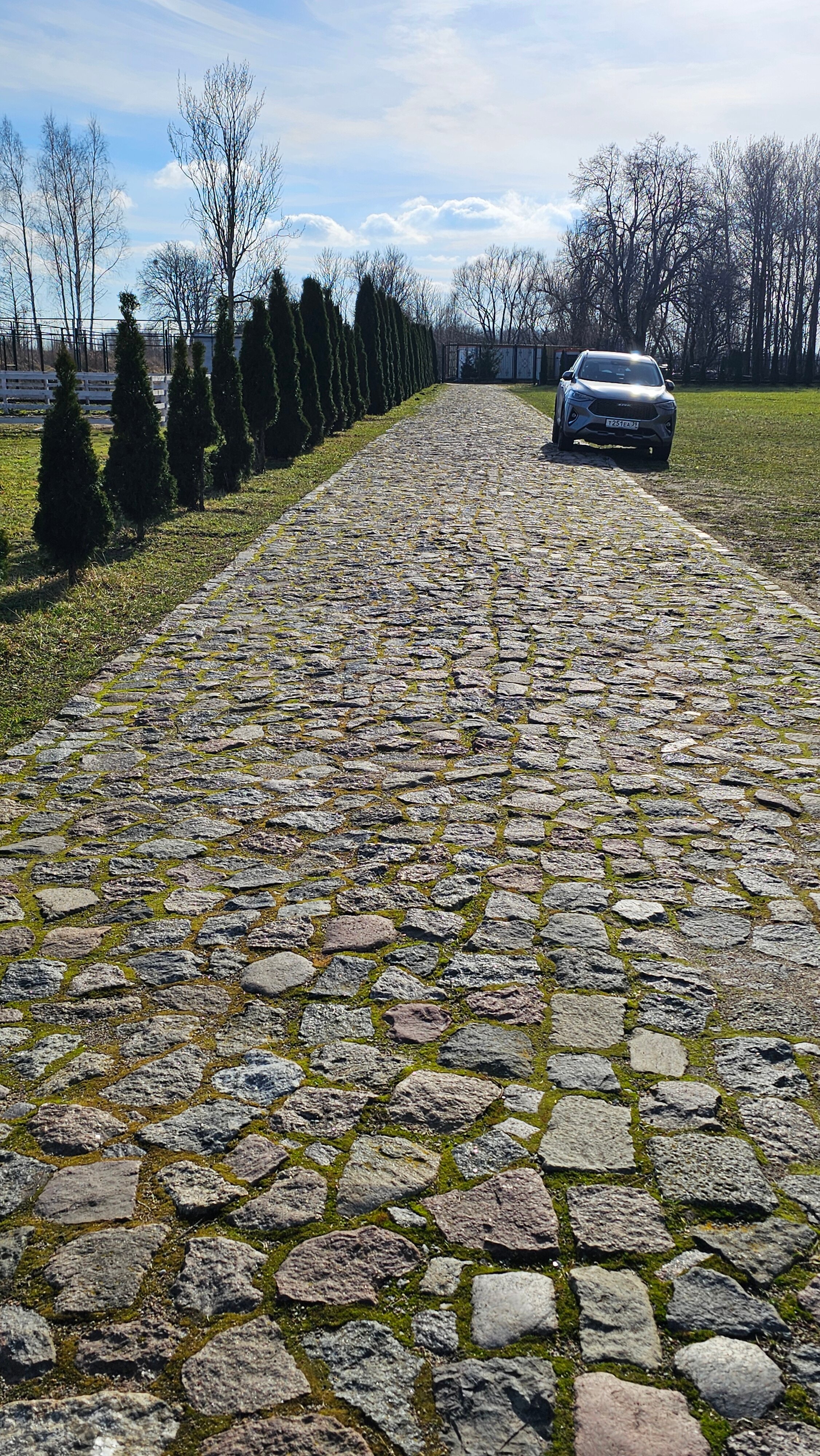 Фото Липовый Парк