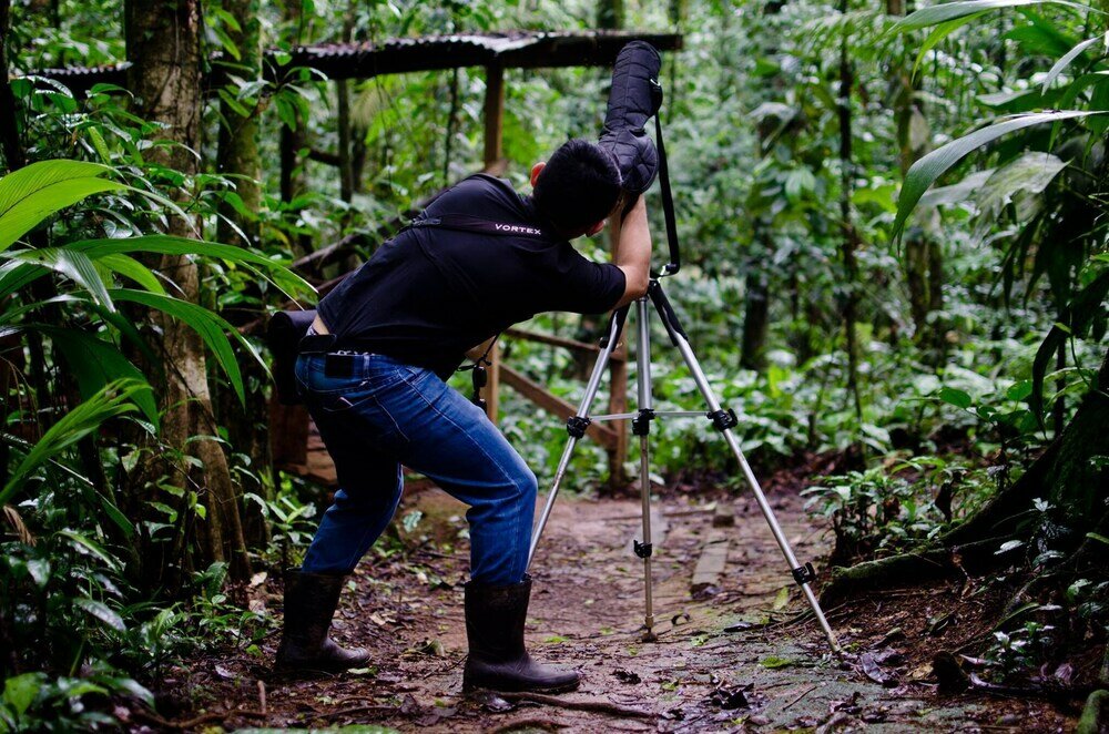 Фото Chilamate Rainforest Eco-retreat