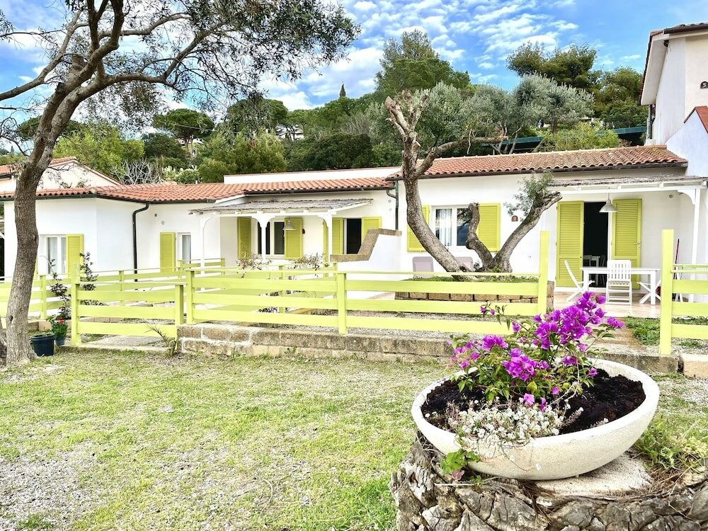 Фото Les Bouganvilles by SolturElba