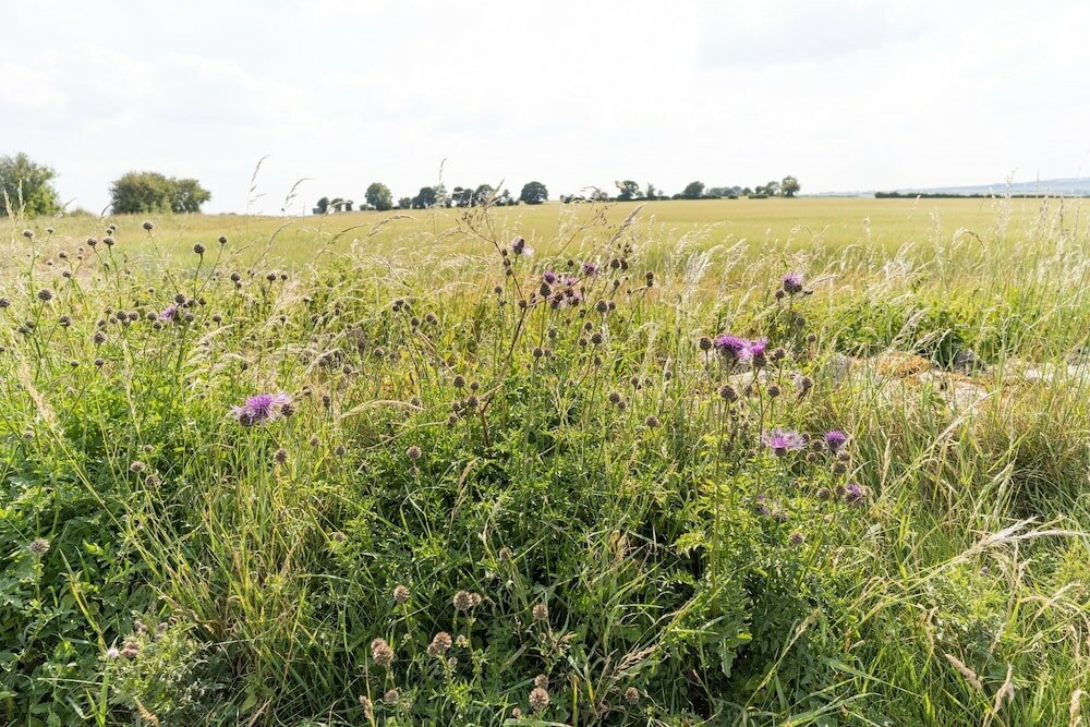 Фото Stunning 2-bed Cottage in Fordwells