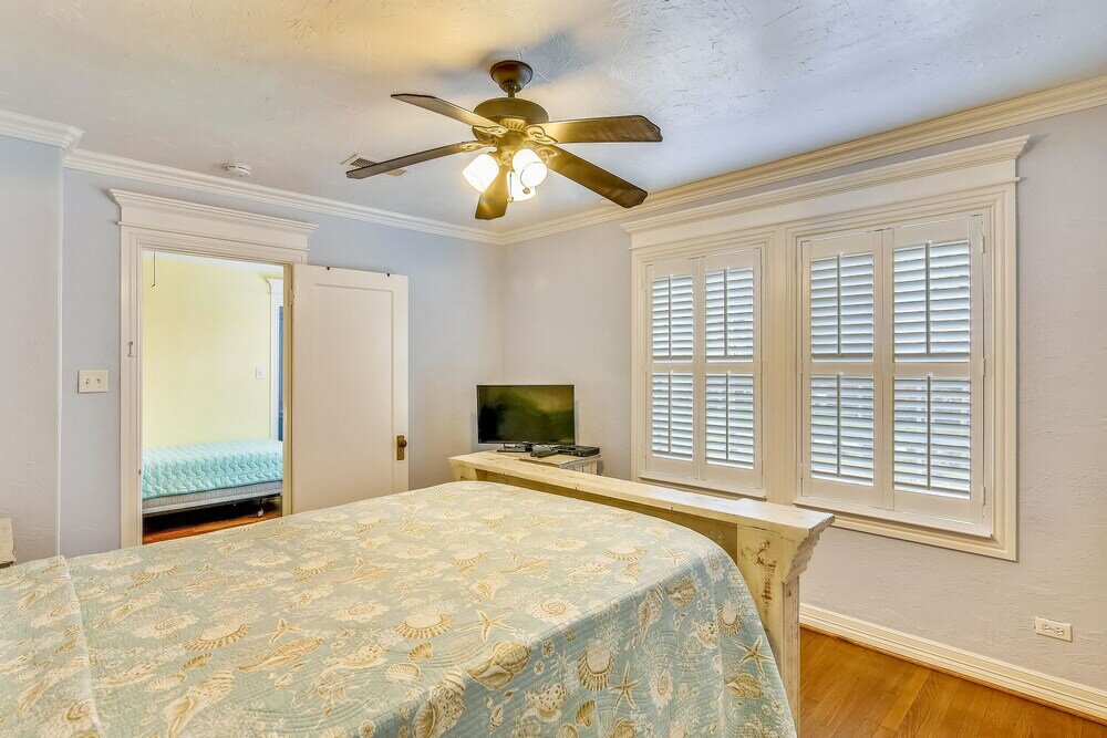 Фото The Turquoise Turtle