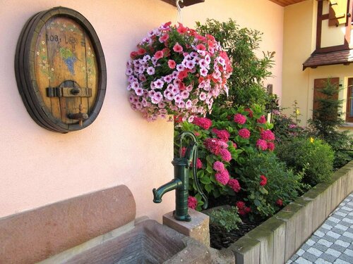 Гостиница B&B Le Clos des Raisins в Кольмаре-Рибовилле