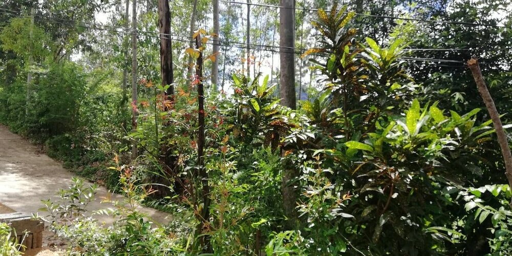 Фото Ella Forest Eco View