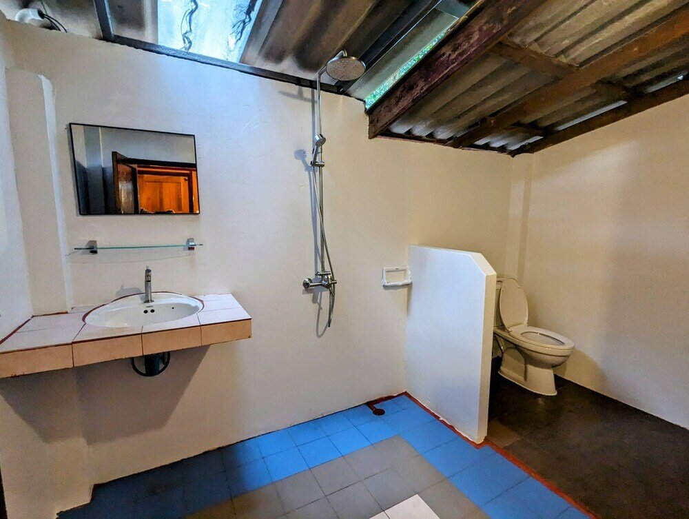 Фото Ziggy Stardust