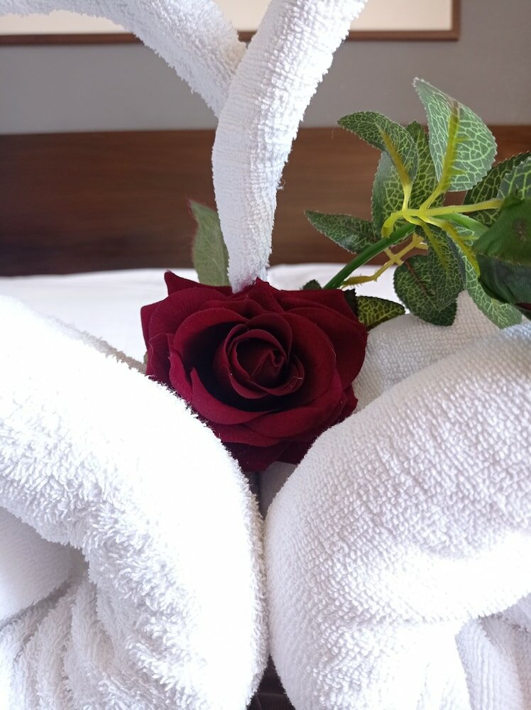 Фото Romalive Hotel