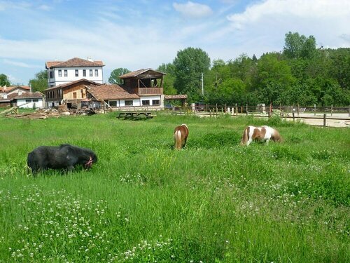 Гостиница Hotel Sadibey Ciftligi - Special Class в Кастамону