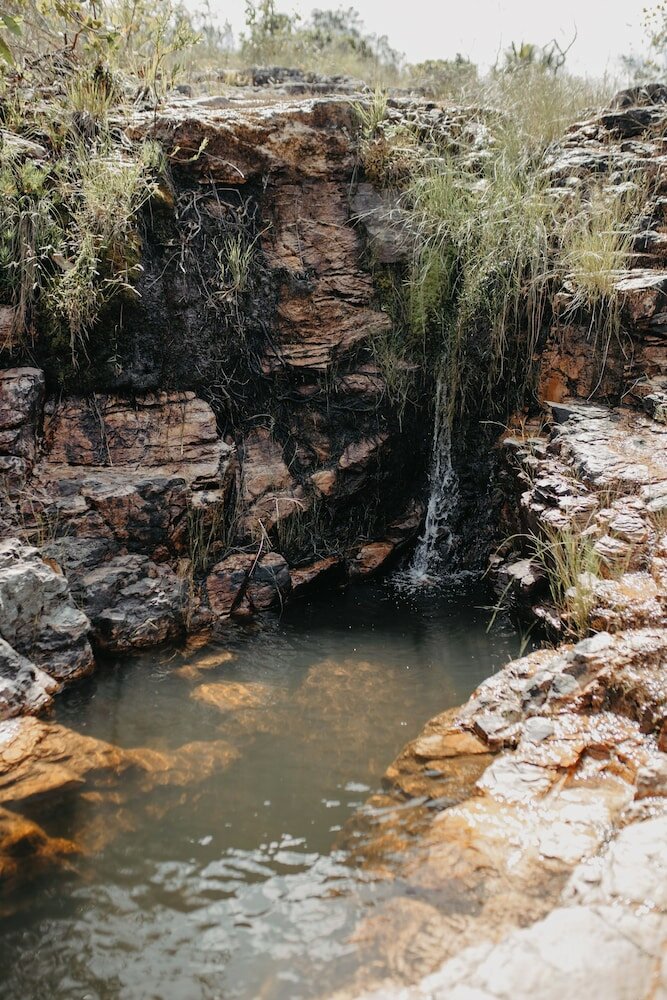 Фото Paradise Ranch