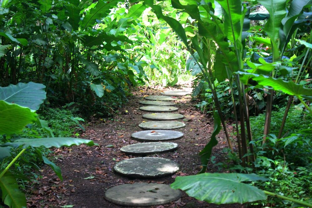 Фото Casa Cerise