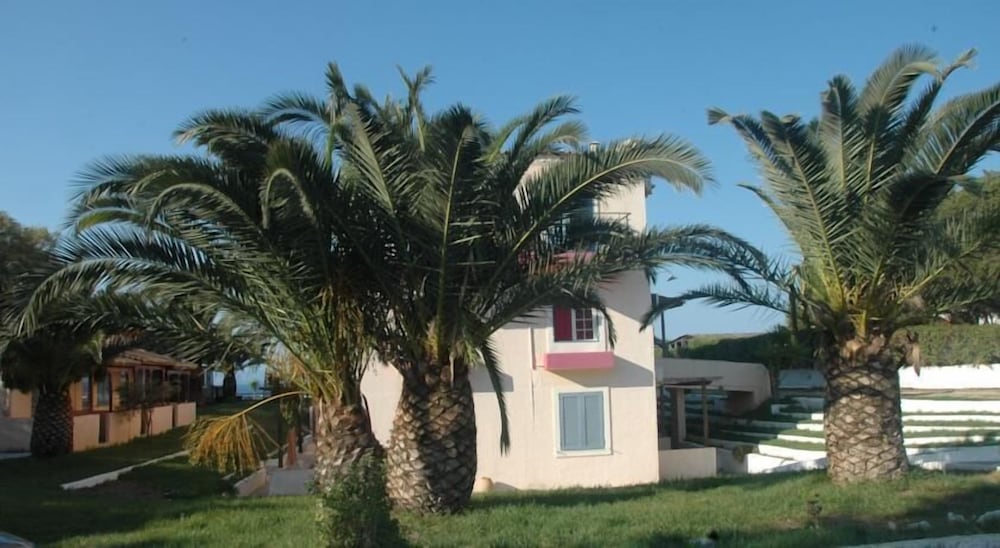 Фото Koralli Beach