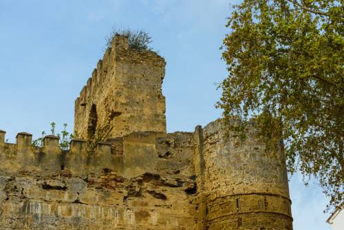 Фото Pension Aduar