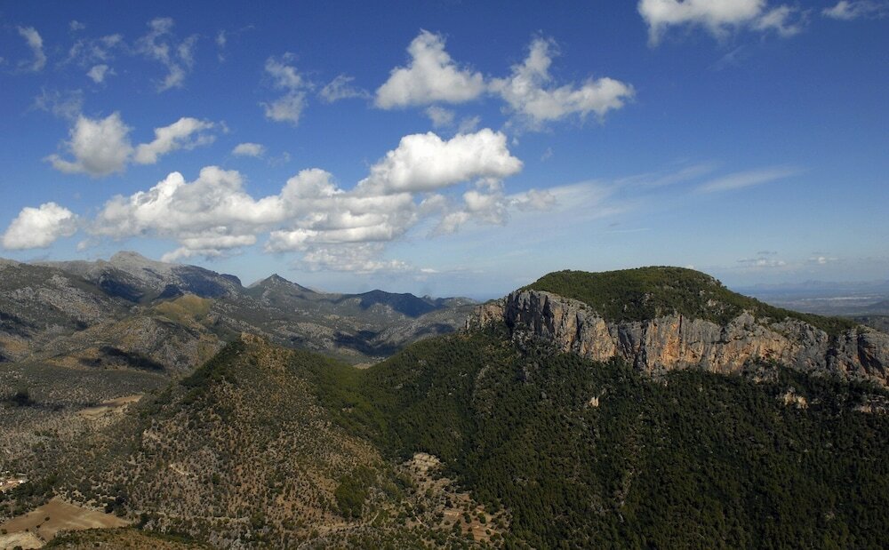 Фото Alaró Natura Rural Suites