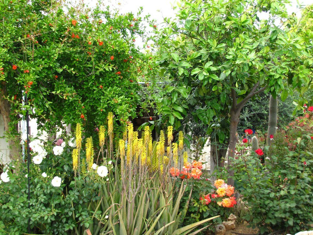 Фото Webooking Konstantinos Villa