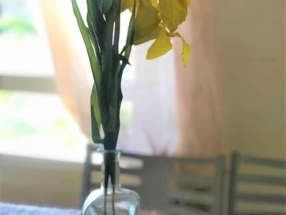 Фото Coqueto Estudio a 250m de la playa