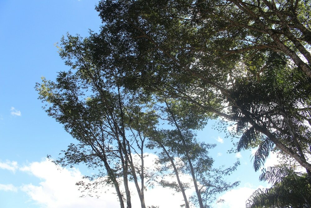 Фото Paradies Hotel Express