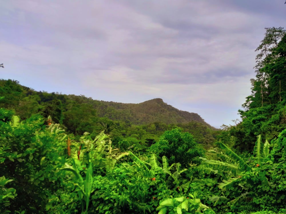 Фото Tranquility Suite Cottage 6