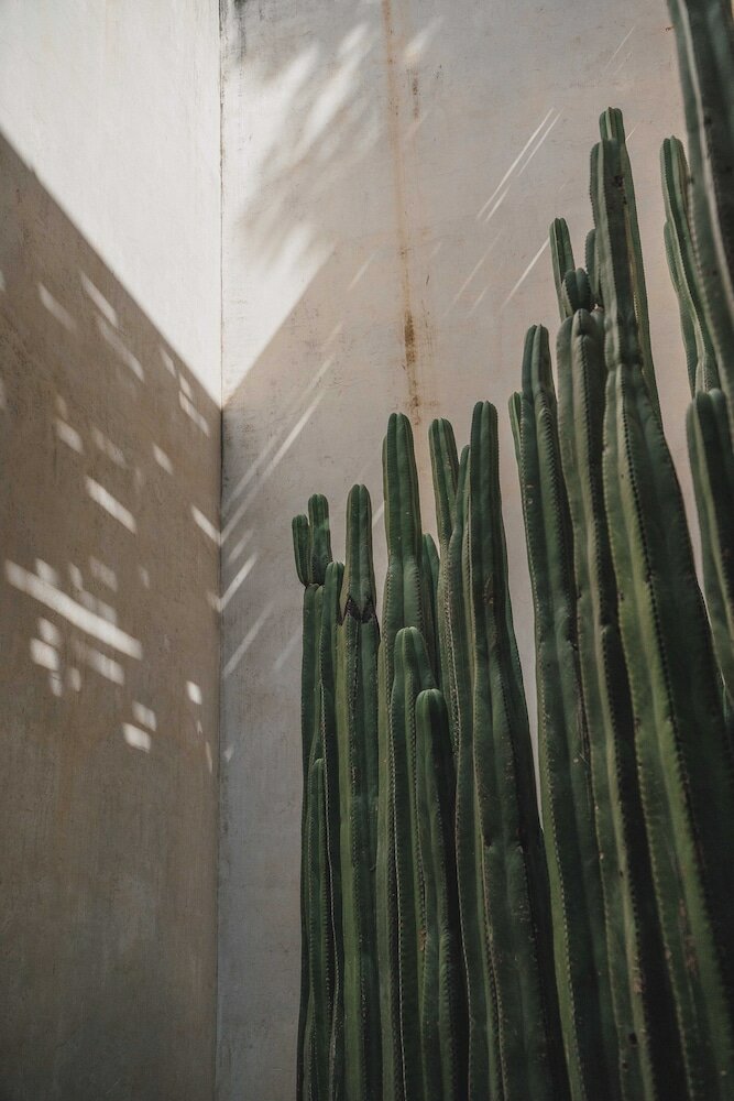 Фото Casa Carmen Reforma