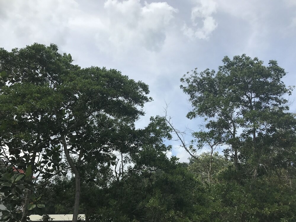 Фото Bukit Bentong Homestay