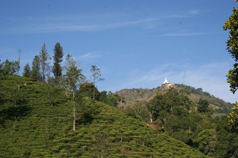 Фото Ayubo Ella - Bed & Breakfast