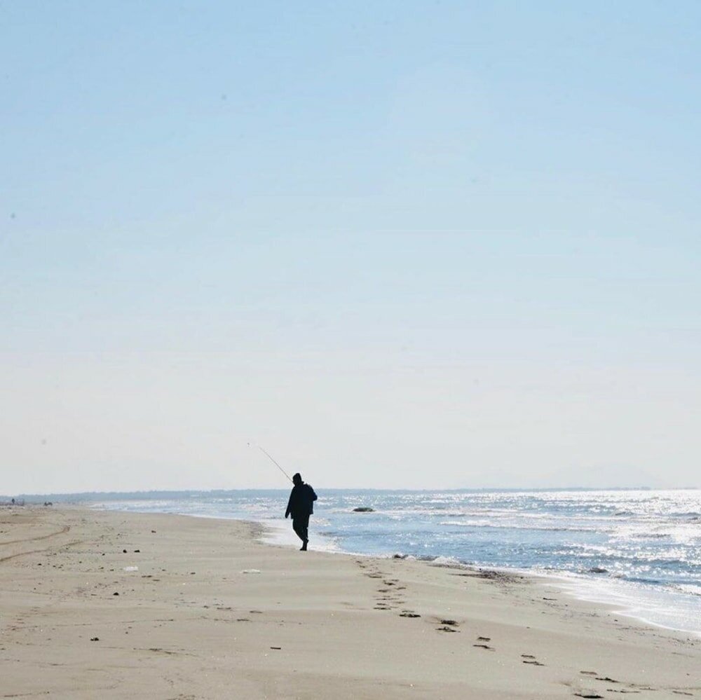 Фото Pasho's House