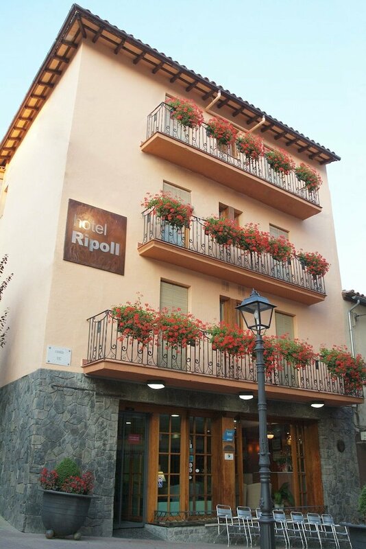 Гостиница Hotel Ripoll