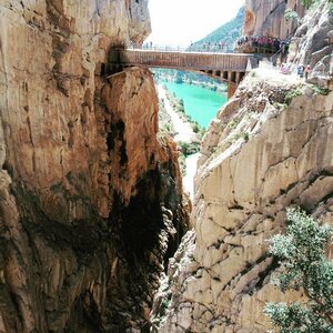 Гостиница Hotel Palacete de Alamos