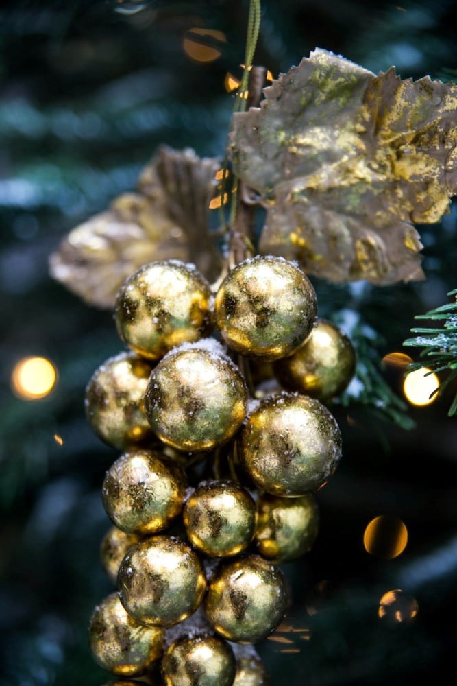 Фото Hotel de Orangerie by Cw Hotel Collection - Small Luxury Hotels of the World