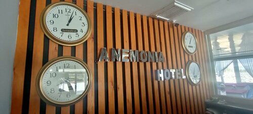 Гостиница Hotel Anemonia в Анамуре