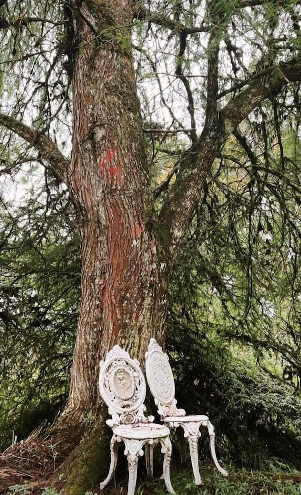 Фото Aconchegante Mansão em Campos do Jordão
