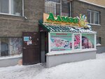 Almaz (Kenjebek Kúmisbekov kóshesi, 9), convenience store