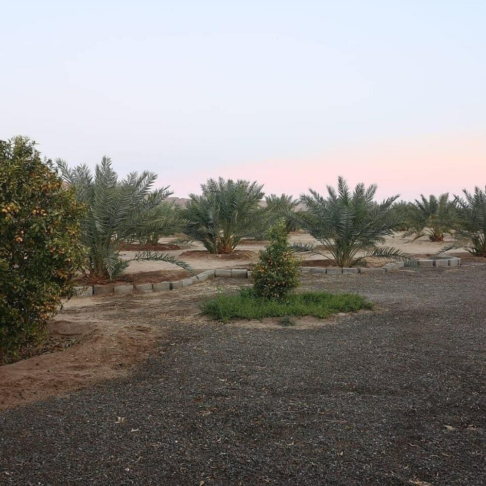 Фото Almazham Farm House In Madin Saleh Alula