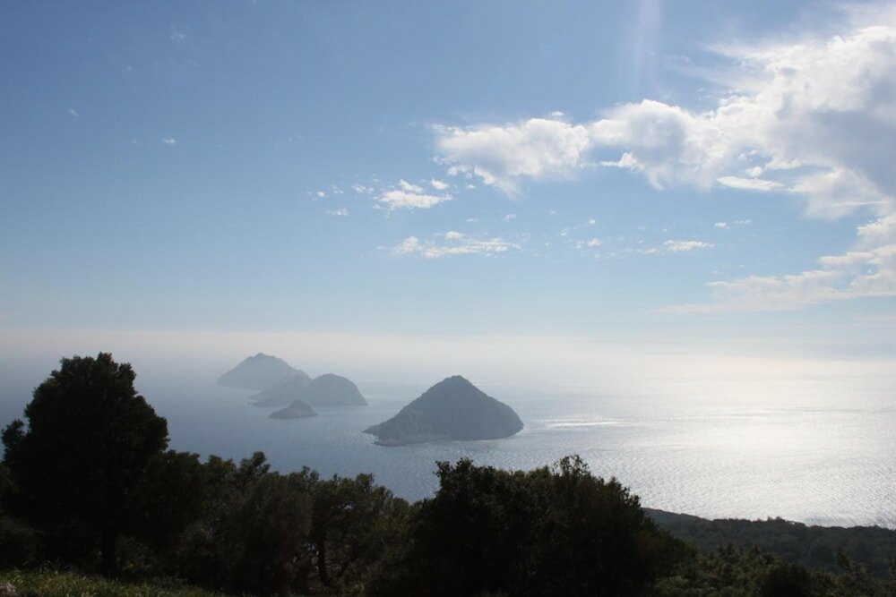 Фото Simurg Evleri Olympos