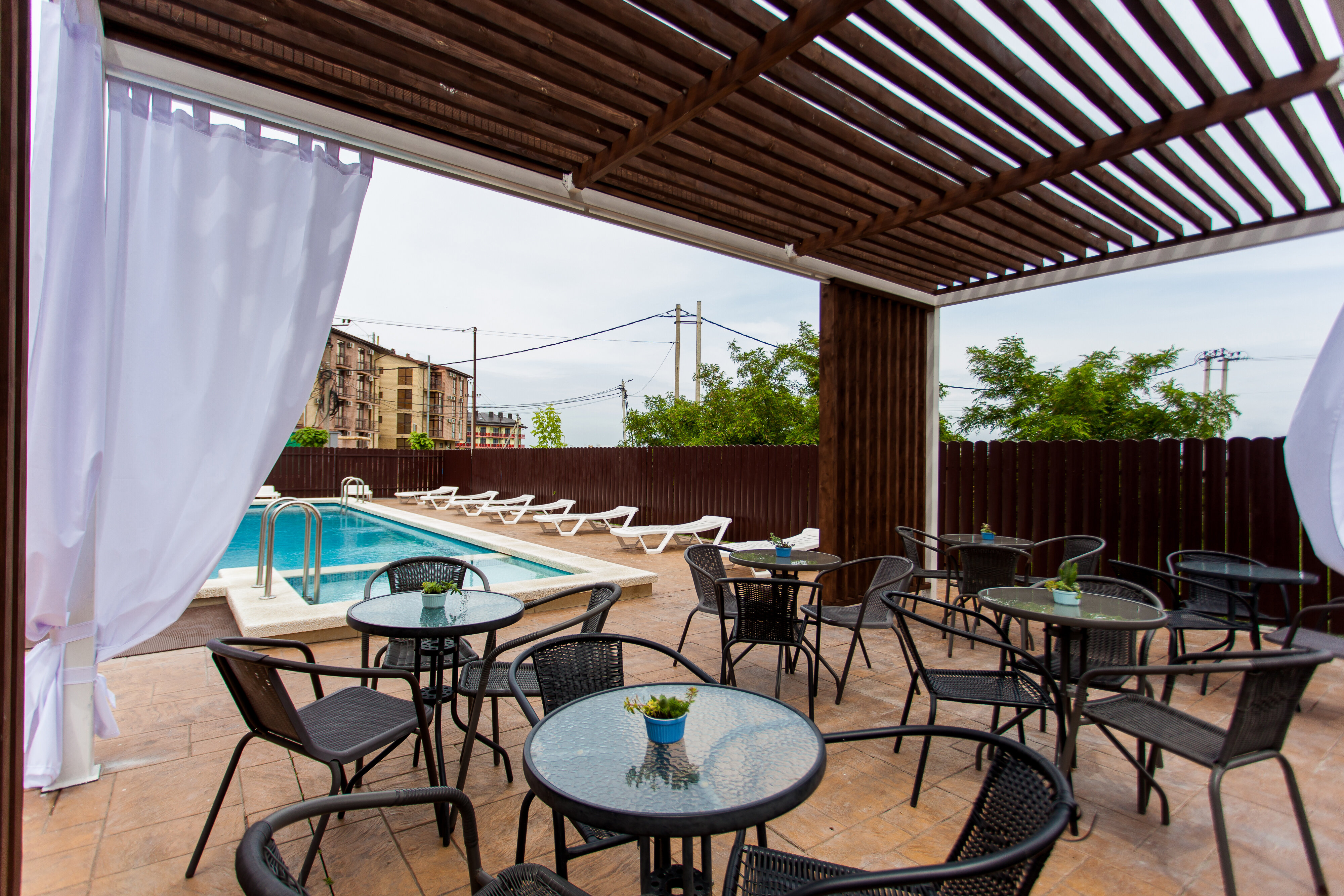 Фото Мангостин