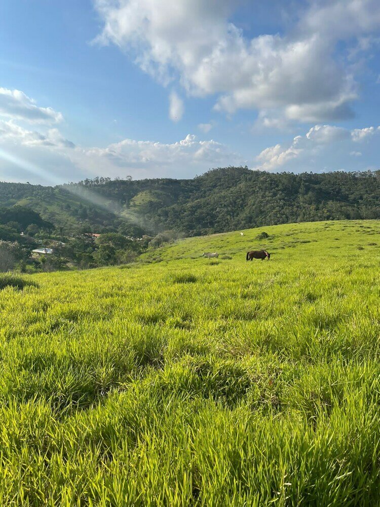 Фото Pousada Haras Fazenda Jamaica