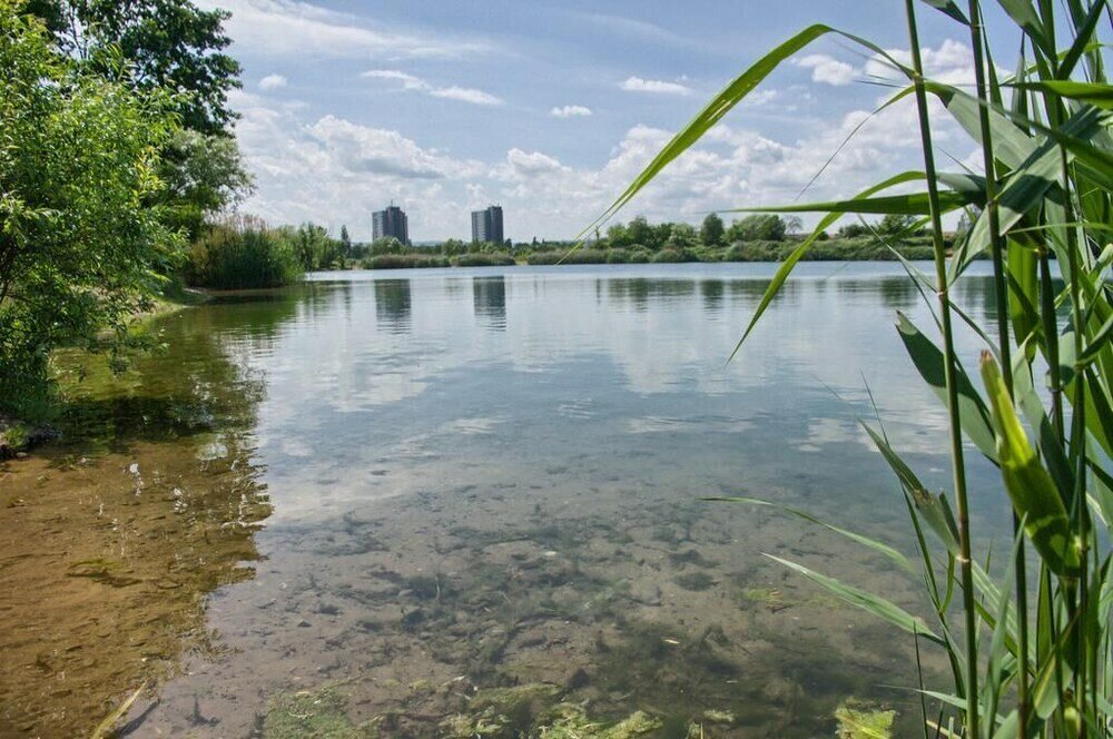 Фото Dresdner-Tag Rosenherz