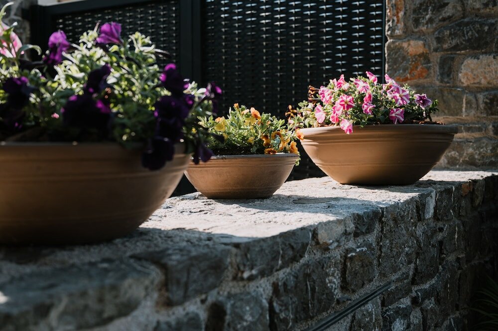 Фото Opal Executive Suites