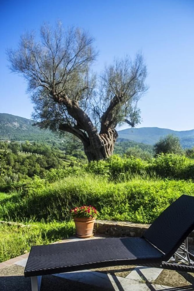 Фото Agriturismo Murikè