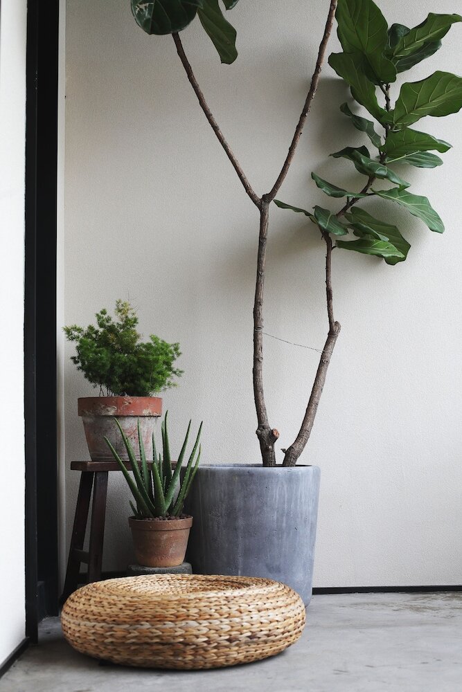 Фото Wu Lan Hotel