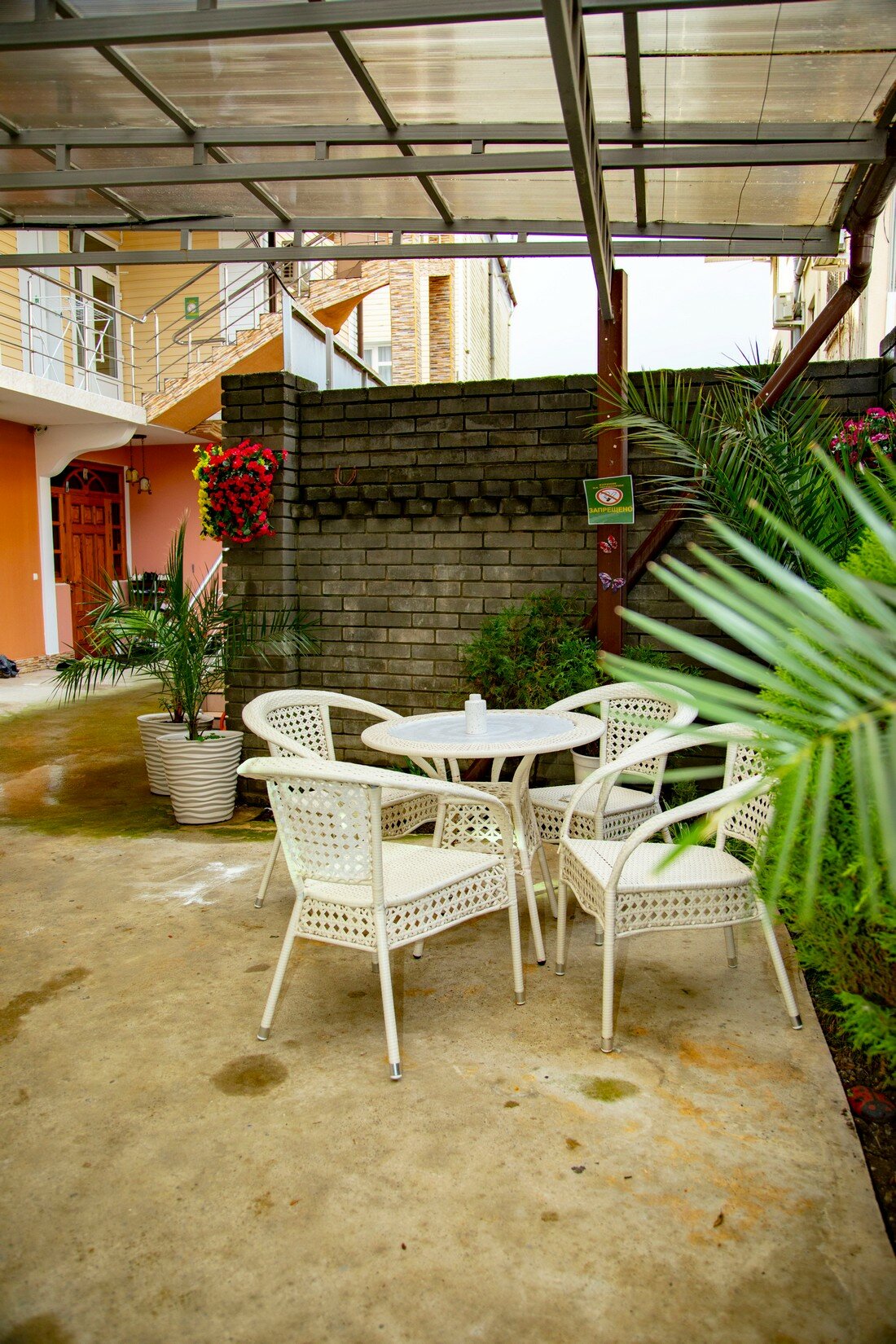 Фото Кенгуру