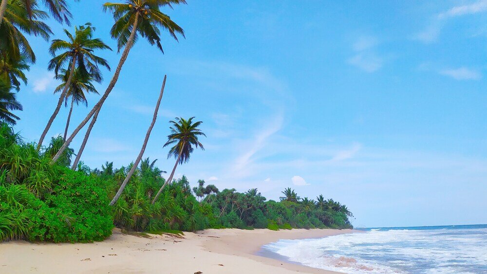 Фото Villa Modara